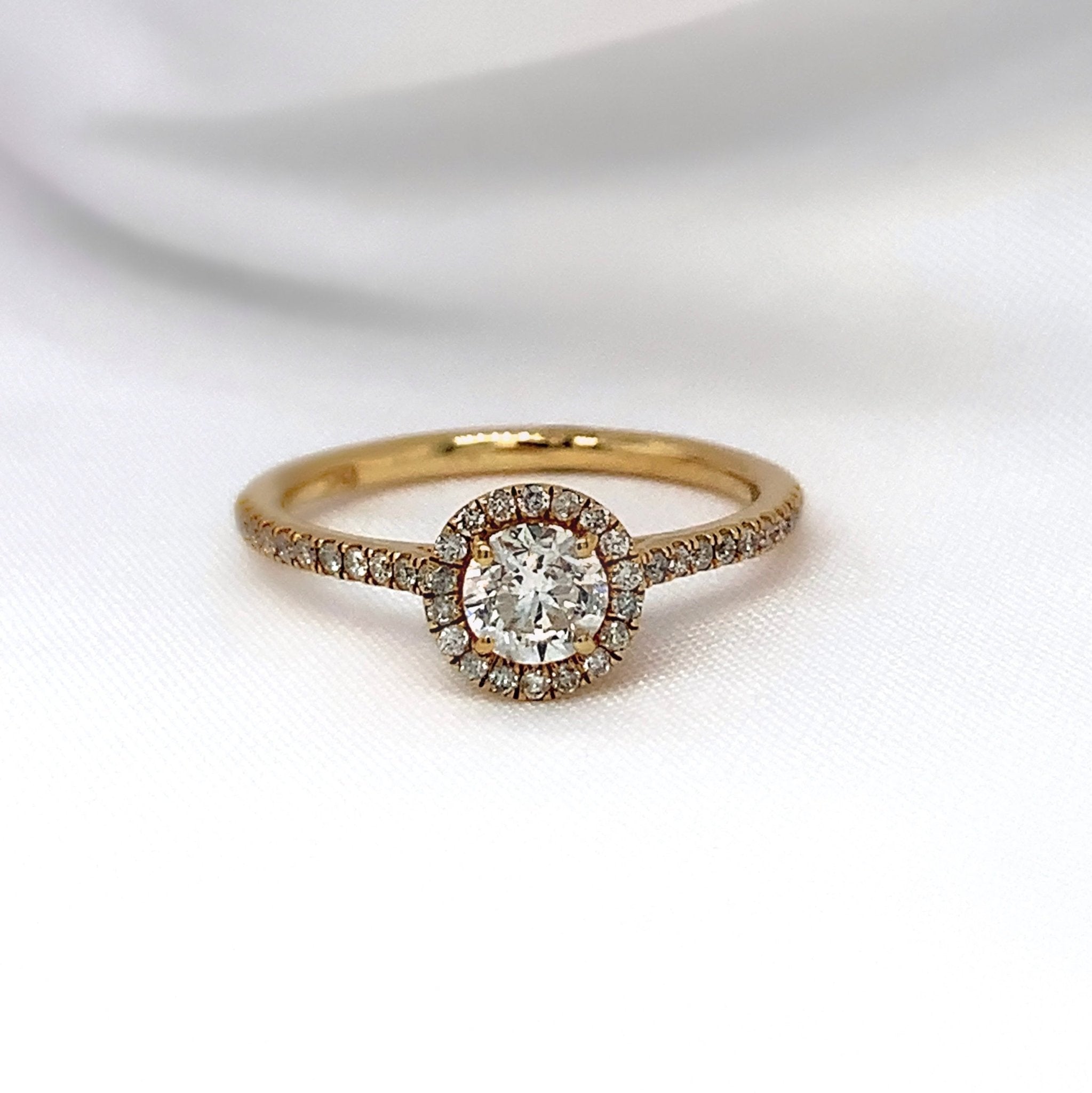 "Athena" - Solitaire Halo Engagement Ring in Pave Setting with Round Brilliant Diamonds - Engagement Ring - Ebony Jewellery Chichester - Bespoke by Ebony